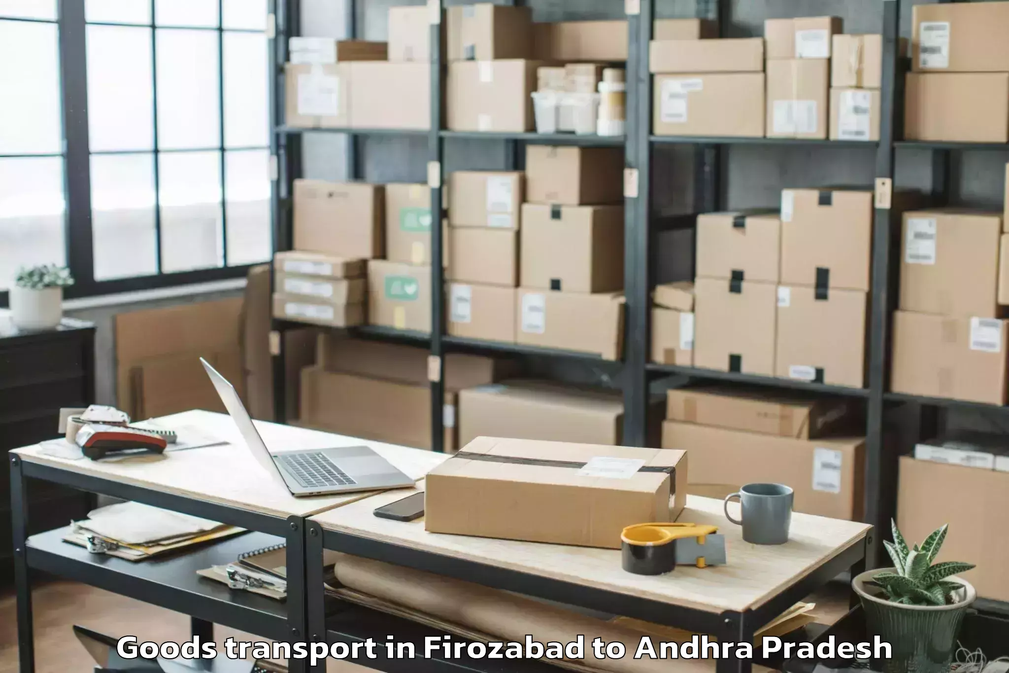 Professional Firozabad to Rapur Goods Transport